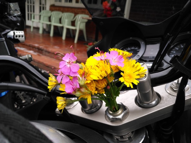 Tag 9: Flower of the Day